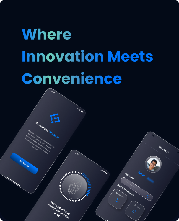 Self-Sovereign Identity